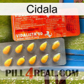 Cidala new01